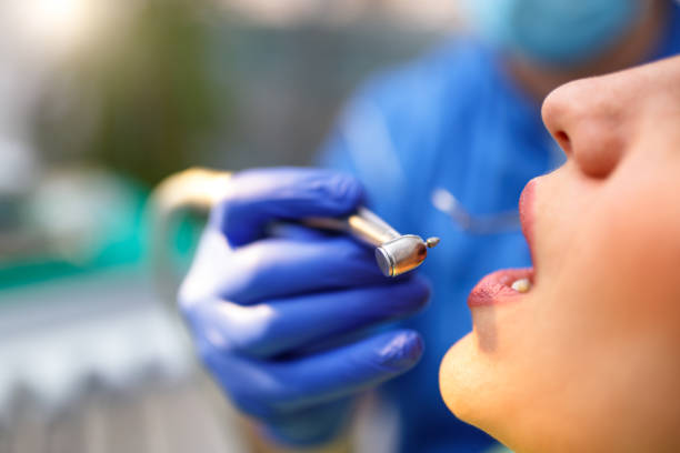Best Pediatric Dentistry  in Homer, AK